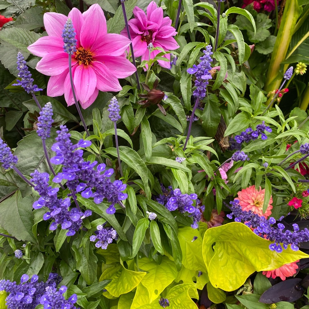 Meet your Posher, Kelsey